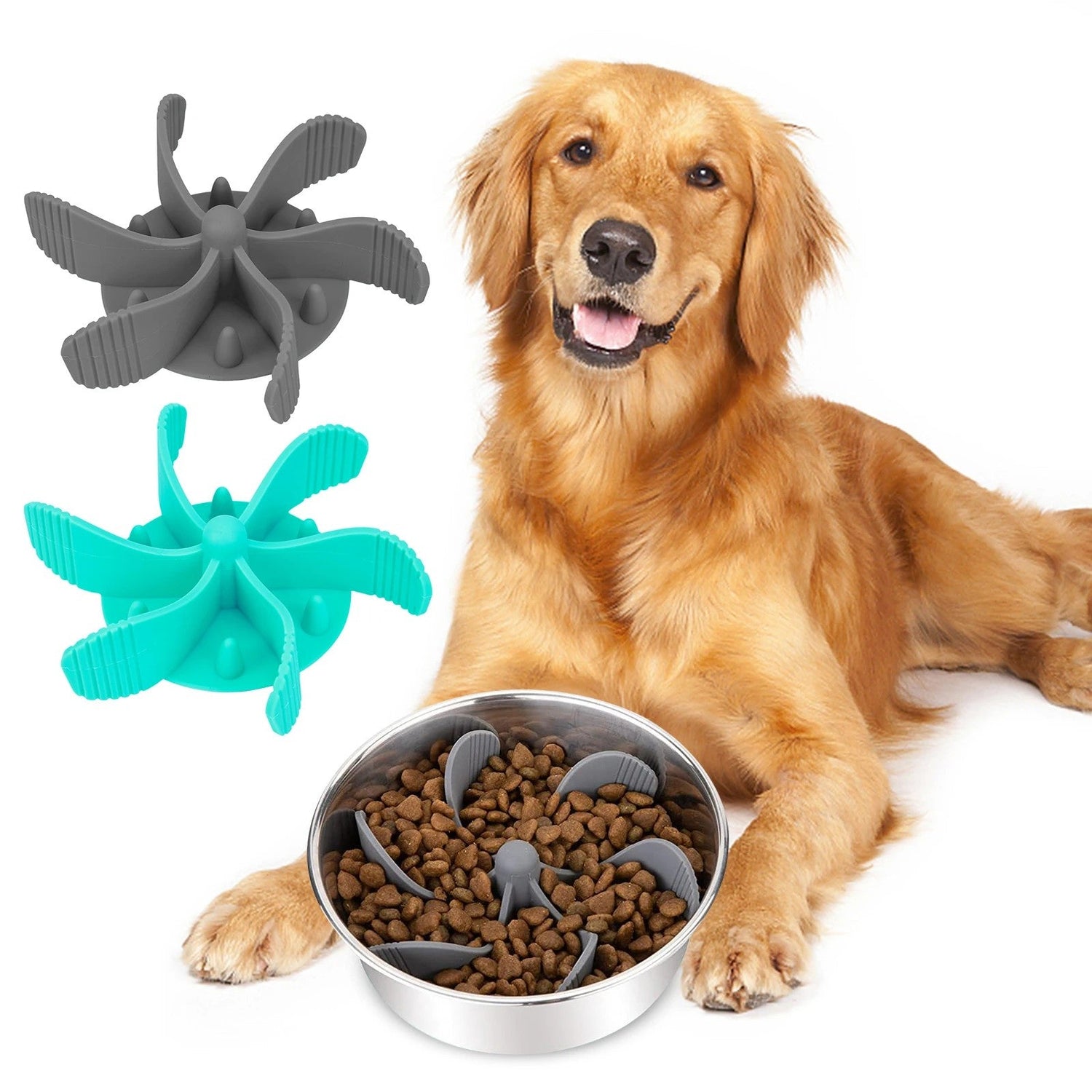 Pet Bowls & Feeding